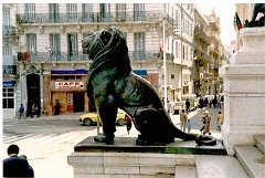 810  1988  UN LION DE LA MAIRIE